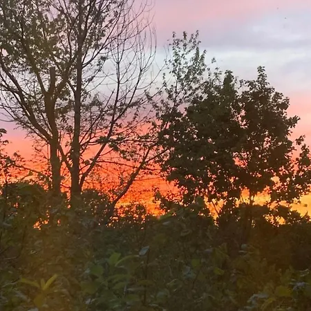 Hotel Christian Gartenhotel