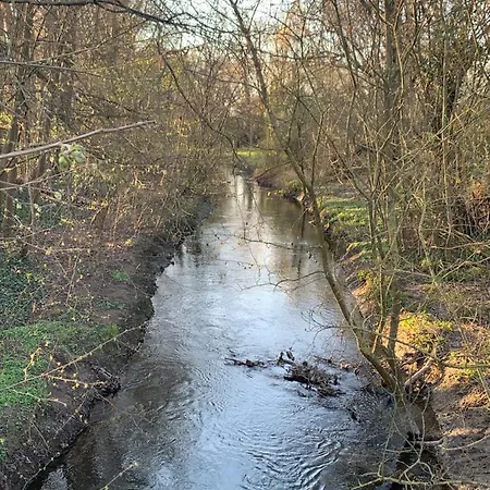 Szálloda Christian Gartenhotel Nieder-Olm