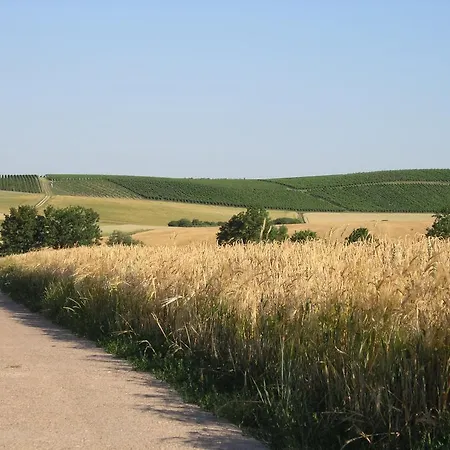 Christian Gartenhotel Hotel 4*