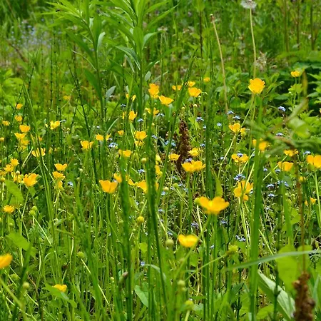 Szálloda Christian Gartenhotel 4*