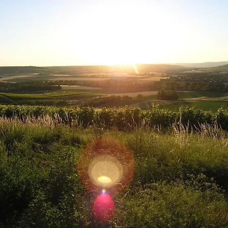 Christian Gartenhotel 4* Nieder-Olm (Rhineland-Palatinate)