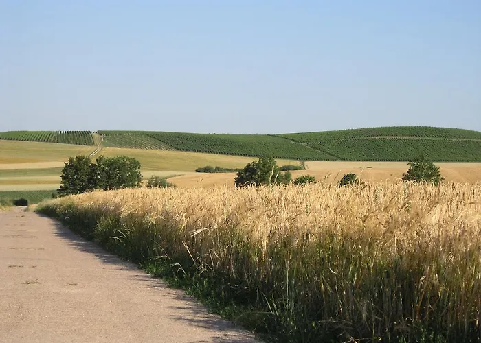 Christian Gartenhotel Ξενοδοχείο 4*