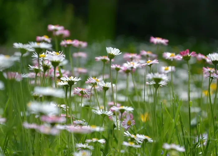 Ξενοδοχείο Christian Gartenhotel