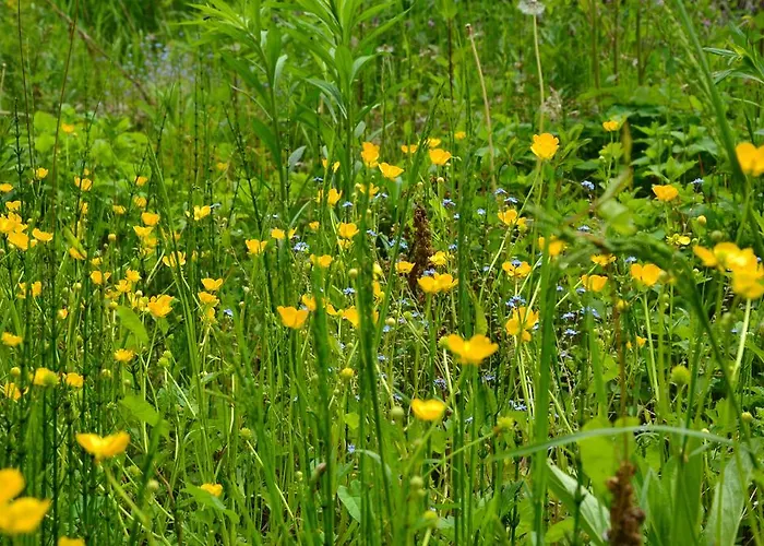 מלון Christian Gartenhotel 4*