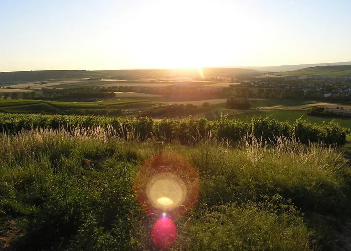 Christian Gartenhotel 4* Nieder-Olm (Rhineland-Palatinate)